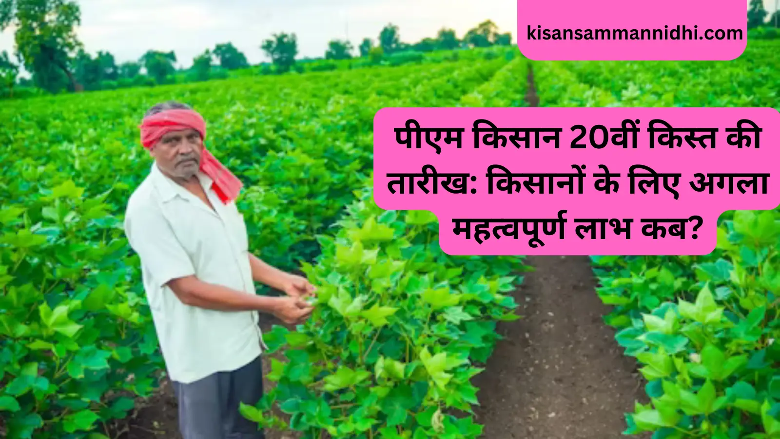 PM Kisan 20thInstallment